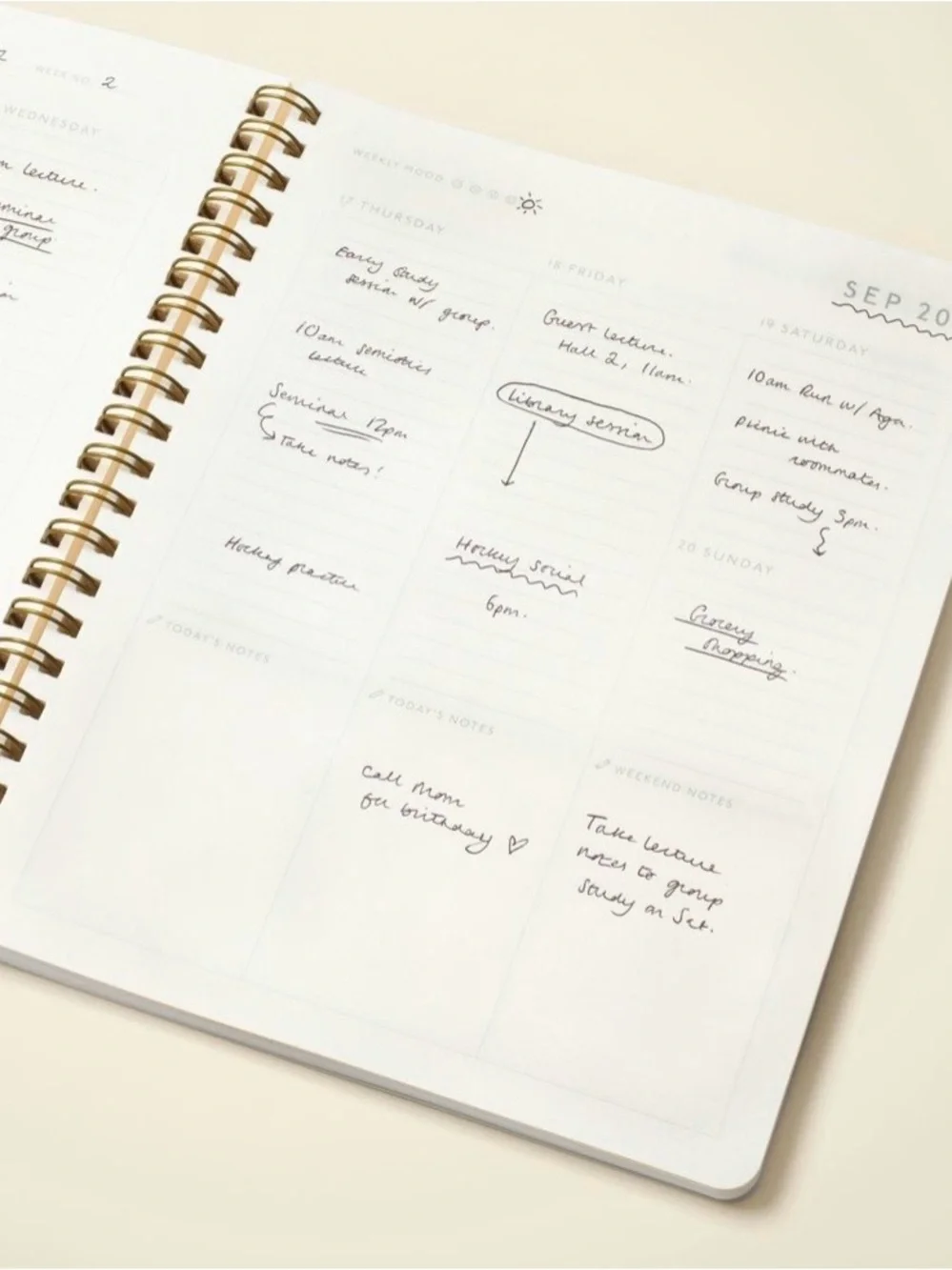 Amy Jenkins Floral Mid-Year Planner - Cream & Red Botanical Cover